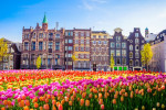 Amsterdam i Mala nizozemska tura - Amsterdam Nizozemska Tradicionalne Stare Zgrade I Tulipani U Amsterdamu Nizozemska 150 